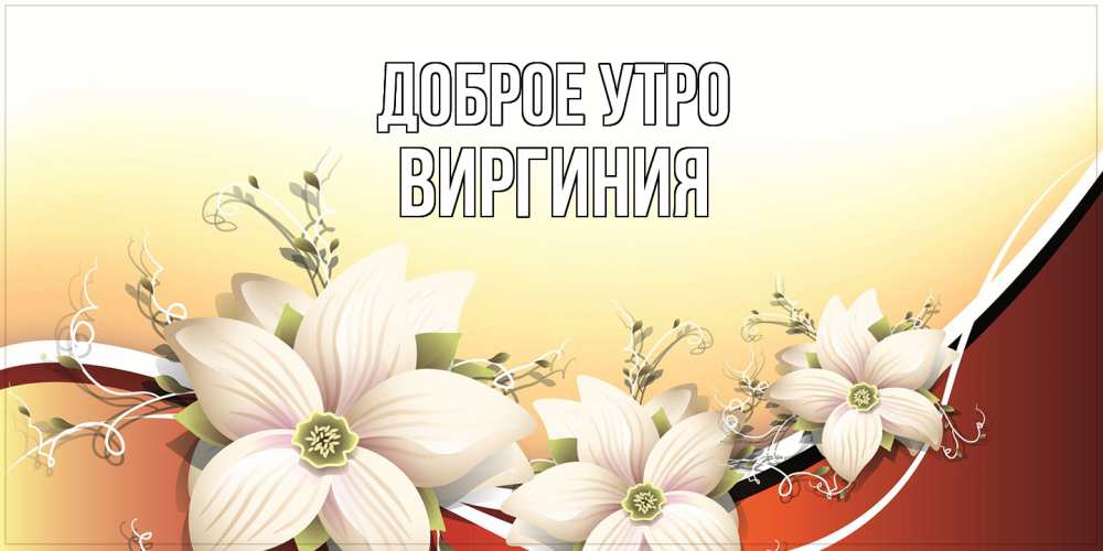 Открытка на каждый день с именем, Виргиния Доброе утро пожелания доброго утра Прикольная открытка с пожеланием онлайн скачать бесплатно 