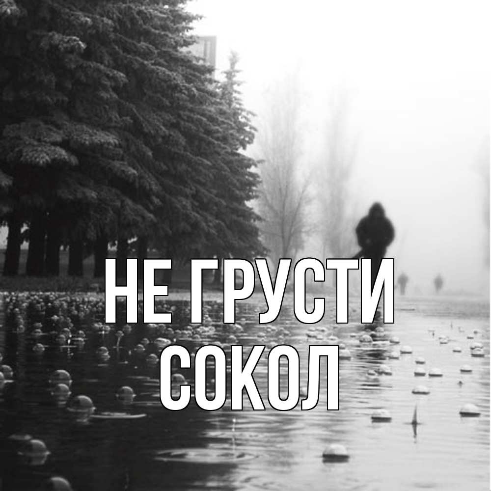 Открытка на каждый день с именем, Сокол Не грусти улица под дождем Прикольная открытка с пожеланием онлайн скачать бесплатно 