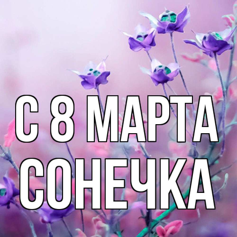 Открытка на каждый день с именем, Сонечка C 8 МАРТА международный женский день 2 Прикольная открытка с пожеланием онлайн скачать бесплатно 