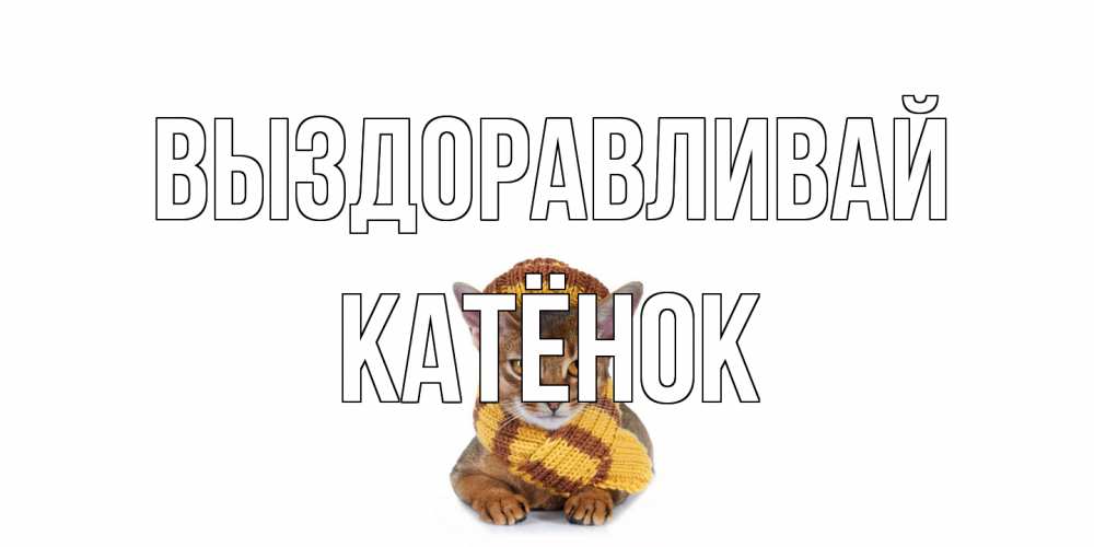 Открытка на каждый день с именем, Катёнок Выздоравливай родные не болейте Прикольная открытка с пожеланием онлайн скачать бесплатно 
