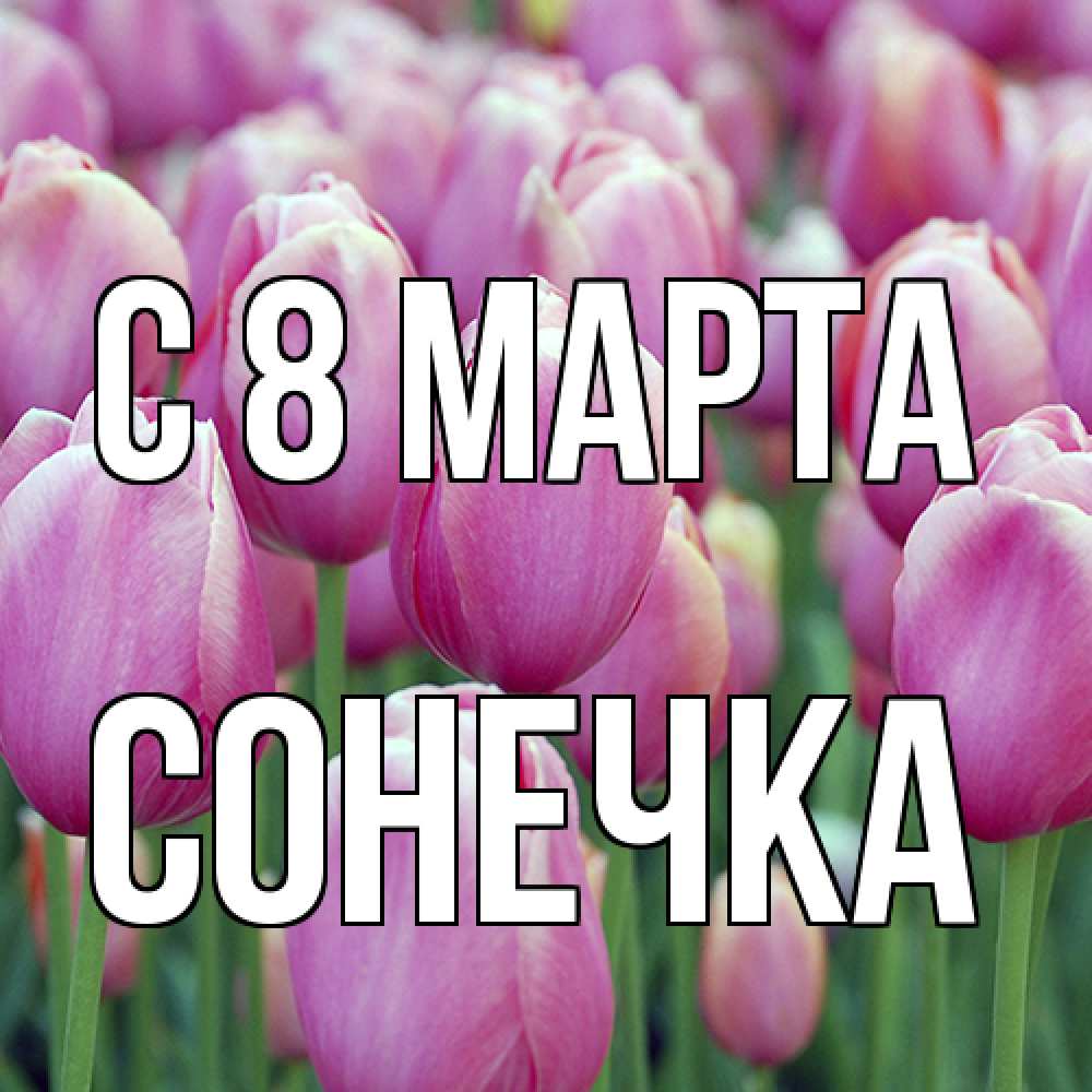 Открытка на каждый день с именем, Сонечка C 8 МАРТА на международный женский день 3 Прикольная открытка с пожеланием онлайн скачать бесплатно 