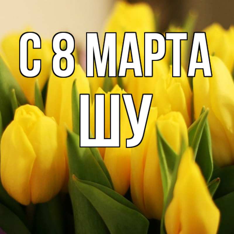 Картинка C 8 МАРТА, Шу
