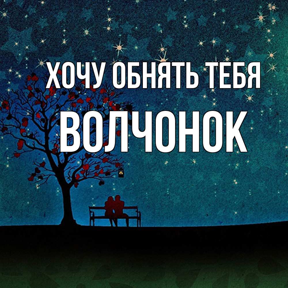 Открытка на каждый день с именем, Волчонок Хочу обнять тебя много звезд Прикольная открытка с пожеланием онлайн скачать бесплатно 