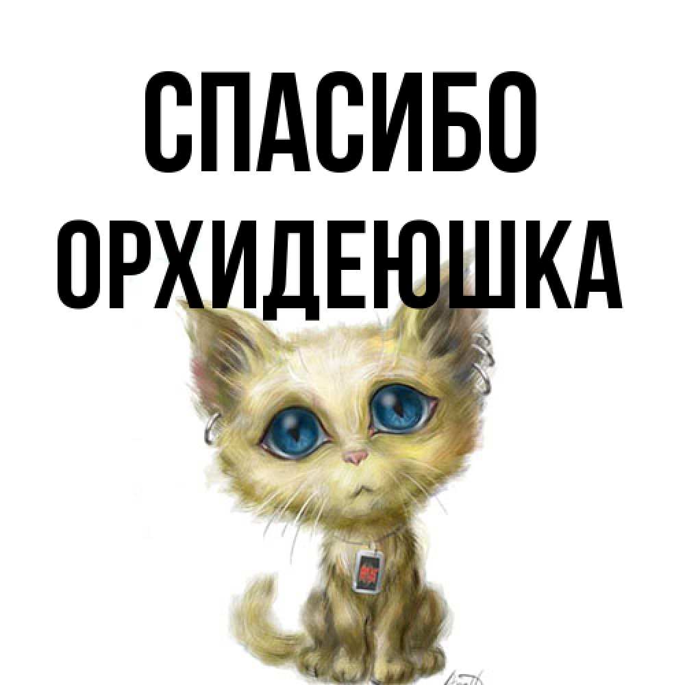 Открытка на каждый день с именем, Орхидеюшка Спасибо рисованный кот благодарит вас Прикольная открытка с пожеланием онлайн скачать бесплатно 