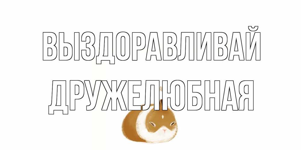 Открытка на каждый день с именем, Дружелюбная Выздоравливай морская свинка на открытке с пожеланиями не болеть Прикольная открытка с пожеланием онлайн скачать бесплатно 