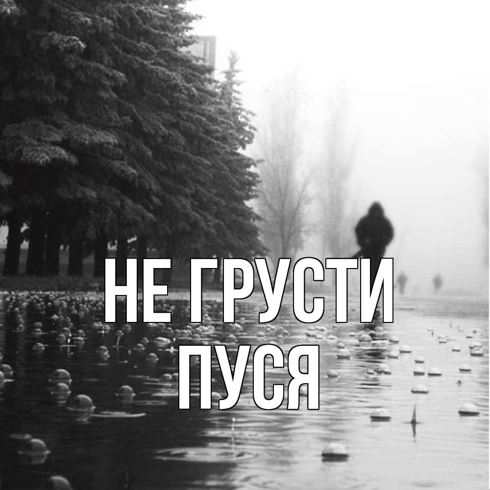 Открытка на каждый день с именем, Пуся Не грусти улица под дождем Прикольная открытка с пожеланием онлайн скачать бесплатно 