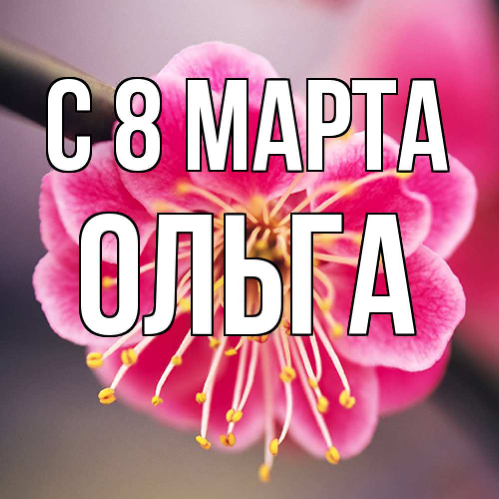 Открытка на каждый день с именем, Ольга C 8 МАРТА цветы Прикольная открытка с пожеланием онлайн скачать бесплатно 