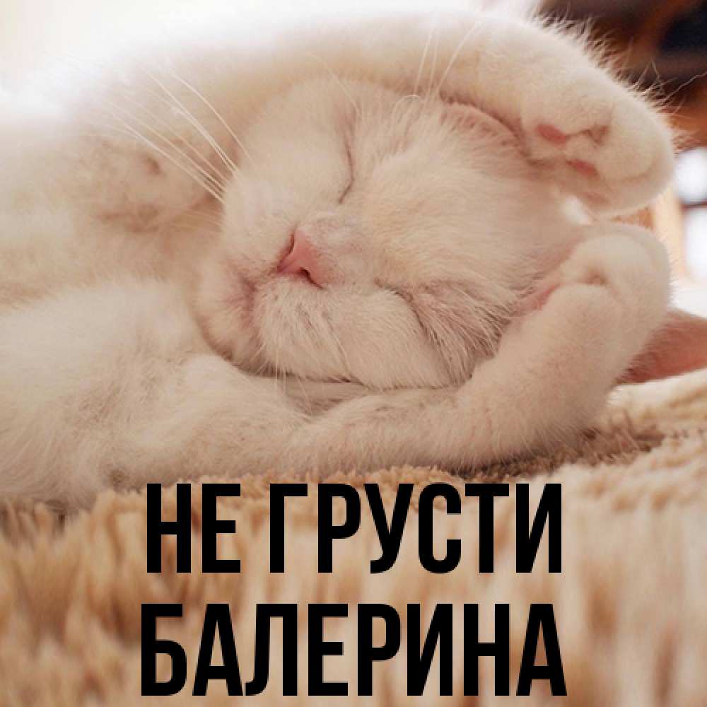 Открытка на каждый день с именем, Балерина Не грусти Котенок спит Прикольная открытка с пожеланием онлайн скачать бесплатно 