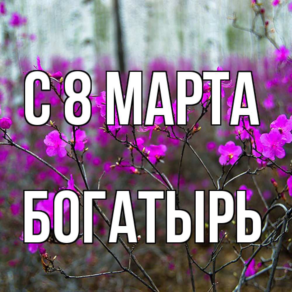Открытка на каждый день с именем, Богатырь C 8 МАРТА дикие цветы Прикольная открытка с пожеланием онлайн скачать бесплатно 