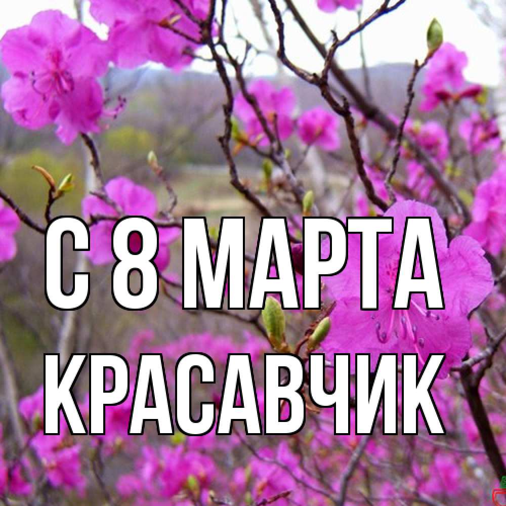 Открытка на каждый день с именем, Красавчик C 8 МАРТА международный женский день Прикольная открытка с пожеланием онлайн скачать бесплатно 