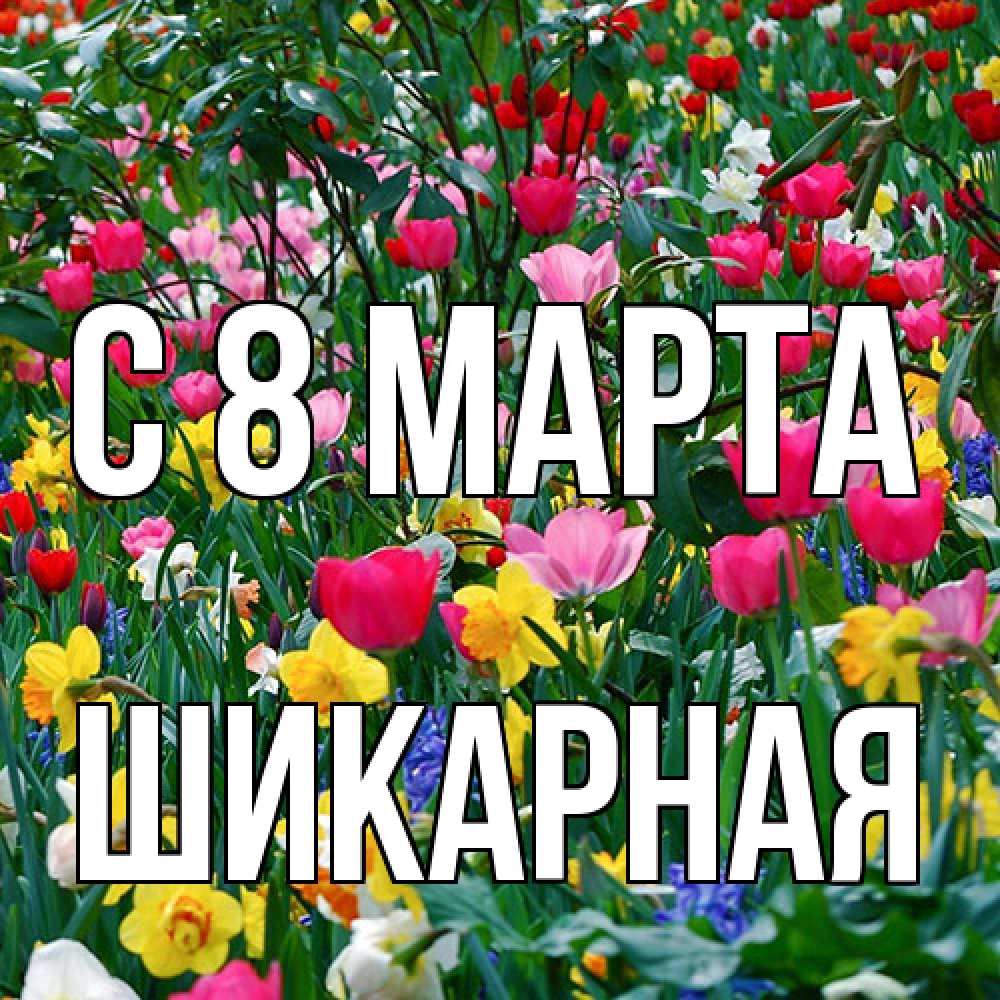 Открытка на каждый день с именем, шикарная C 8 МАРТА с международным женским днем поздравления для женщины Прикольная открытка с пожеланием онлайн скачать бесплатно 