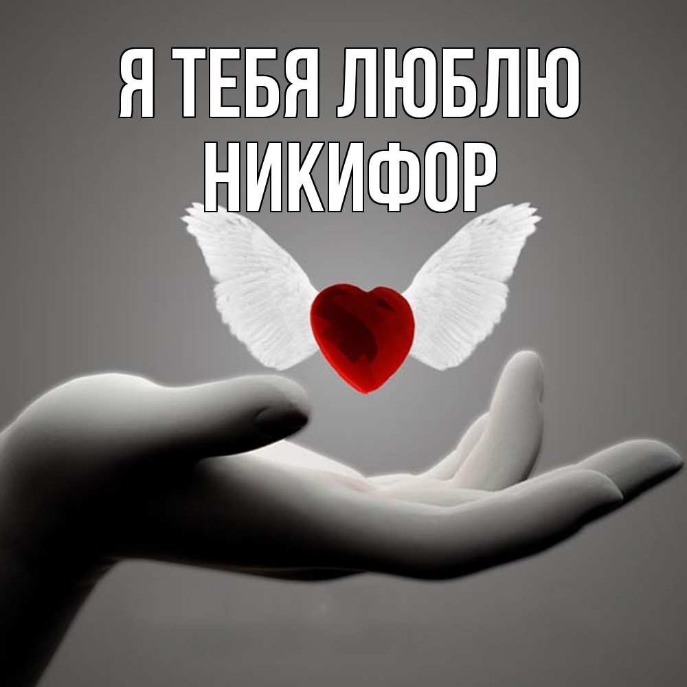 Открытка на каждый день с именем, Никифор Я тебя люблю сердце Прикольная открытка с пожеланием онлайн скачать бесплатно 