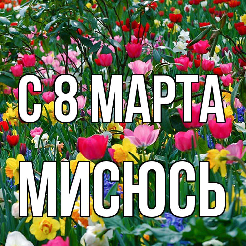 Открытка на каждый день с именем, мисюсь C 8 МАРТА с международным женским днем поздравления для женщины Прикольная открытка с пожеланием онлайн скачать бесплатно 
