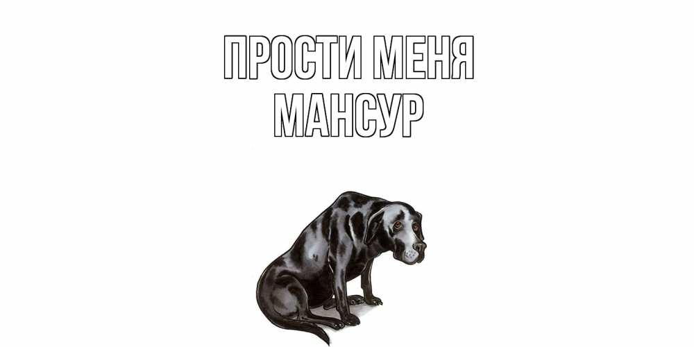 Открытка на каждый день с именем, Мансур Прости меня грустная собака на открытке с подписью прости меня Прикольная открытка с пожеланием онлайн скачать бесплатно 