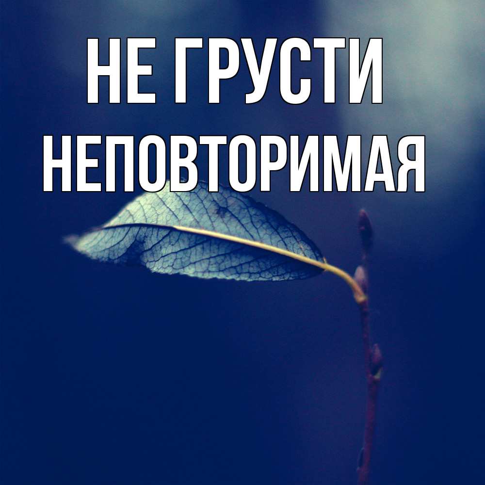 Открытка на каждый день с именем, Неповторимая Не грусти растение Прикольная открытка с пожеланием онлайн скачать бесплатно 