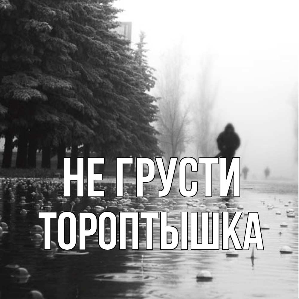 Открытка на каждый день с именем, Тороптышка Не грусти улица под дождем Прикольная открытка с пожеланием онлайн скачать бесплатно 