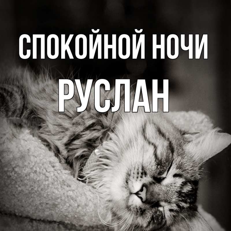 Картинка Спокойной ночи, Руслан