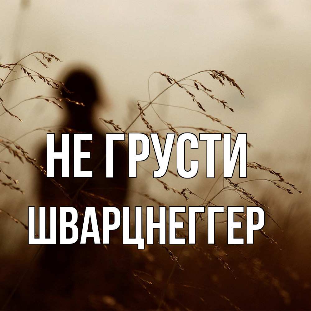 Открытка на каждый день с именем, Шварцнеггер Не грусти грусть Прикольная открытка с пожеланием онлайн скачать бесплатно 