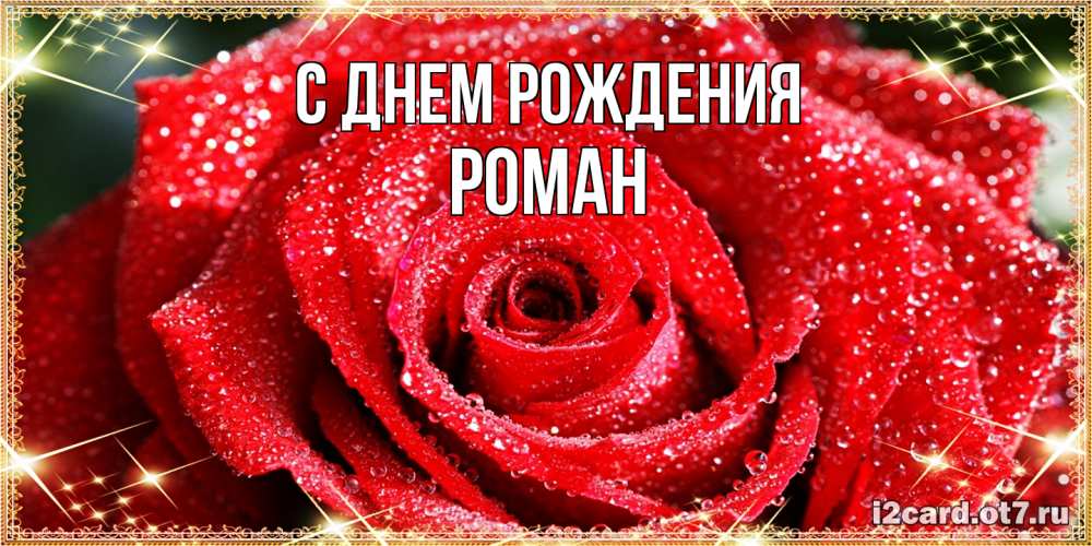 Открытка на каждый день с именем, Роман С днем рождения роса и роза. открытка с красивой розой Прикольная открытка с пожеланием онлайн скачать бесплатно 