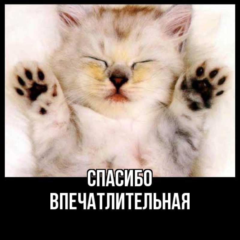 Картинка Спасибо, впечатлительная