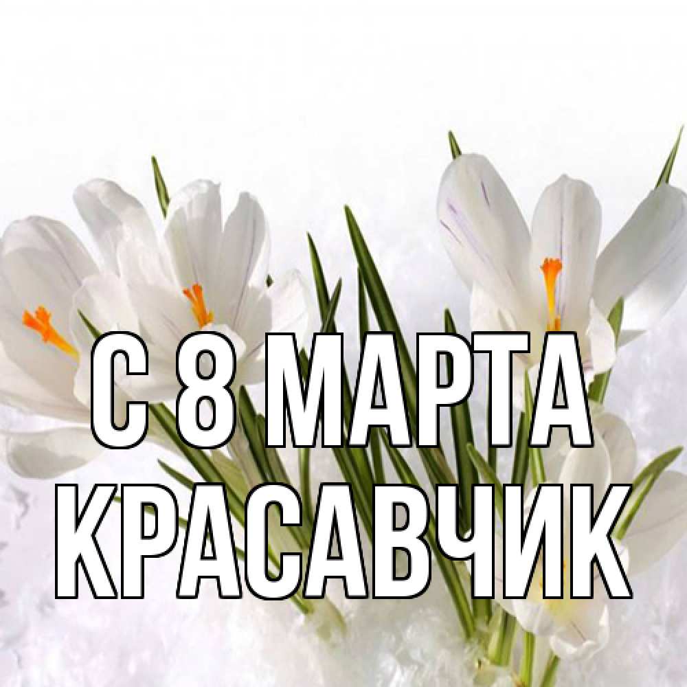 Открытка на каждый день с именем, Красавчик C 8 МАРТА под снегом Прикольная открытка с пожеланием онлайн скачать бесплатно 
