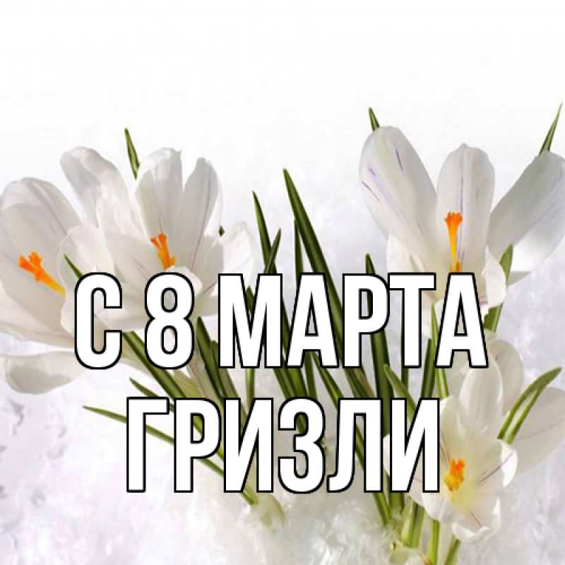 Картинка C 8 МАРТА, Гризли