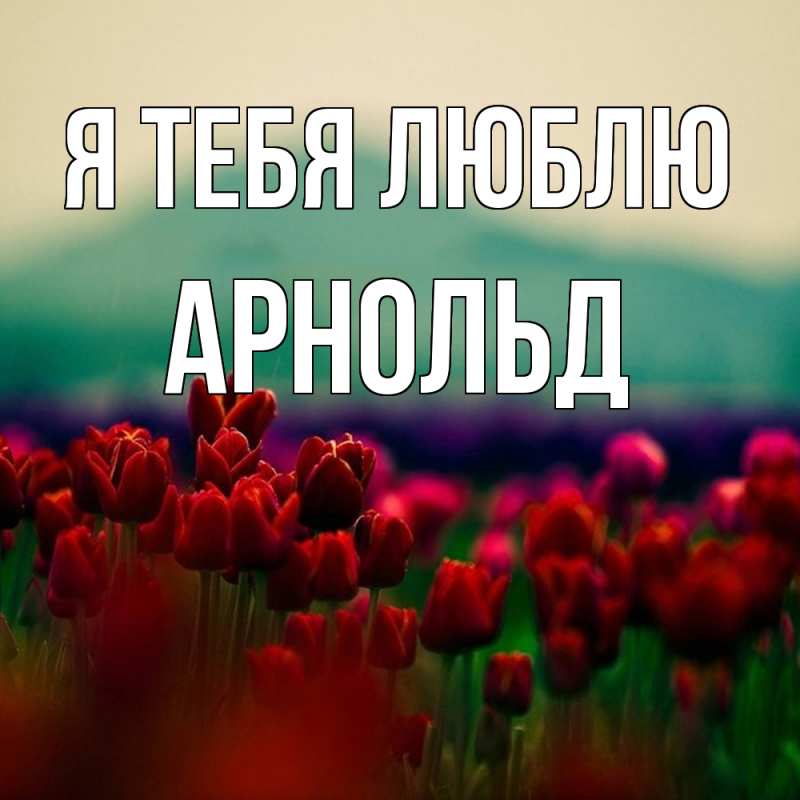 Картинка Я тебя люблю, Арнольд