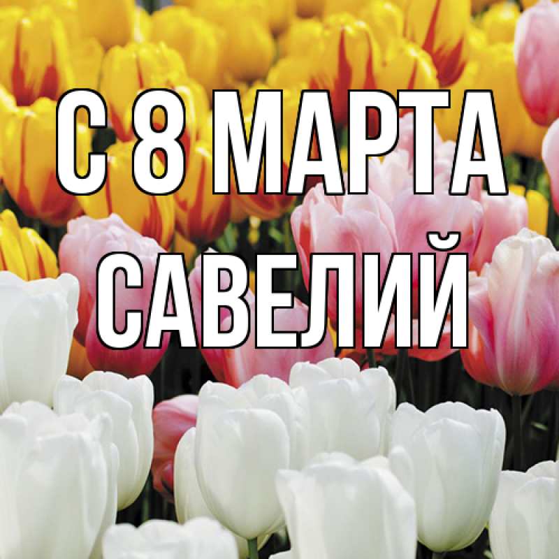 Картинка C 8 МАРТА, Савелий