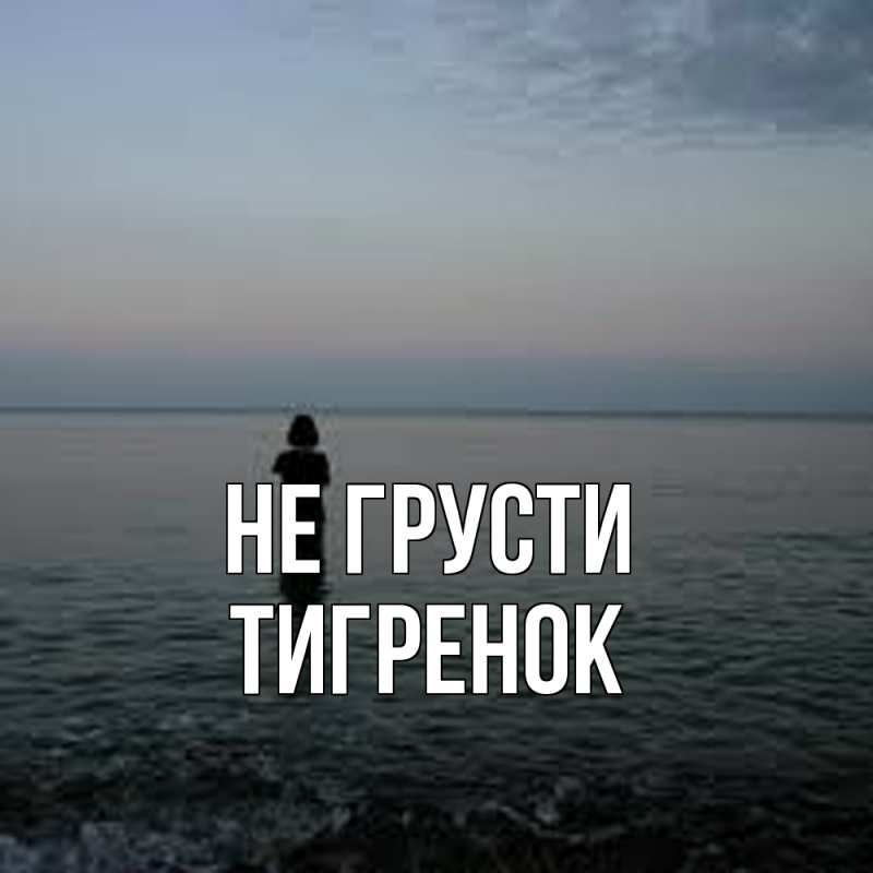 Картинка Не грусти, Тигpенок