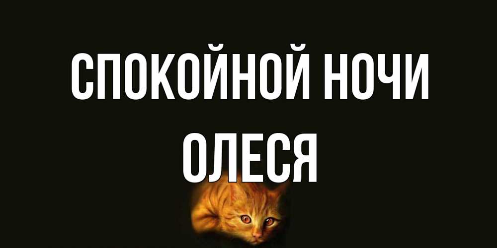Открытка на каждый день с именем, Олеся Спокойной ночи кот Прикольная открытка с пожеланием онлайн скачать бесплатно 