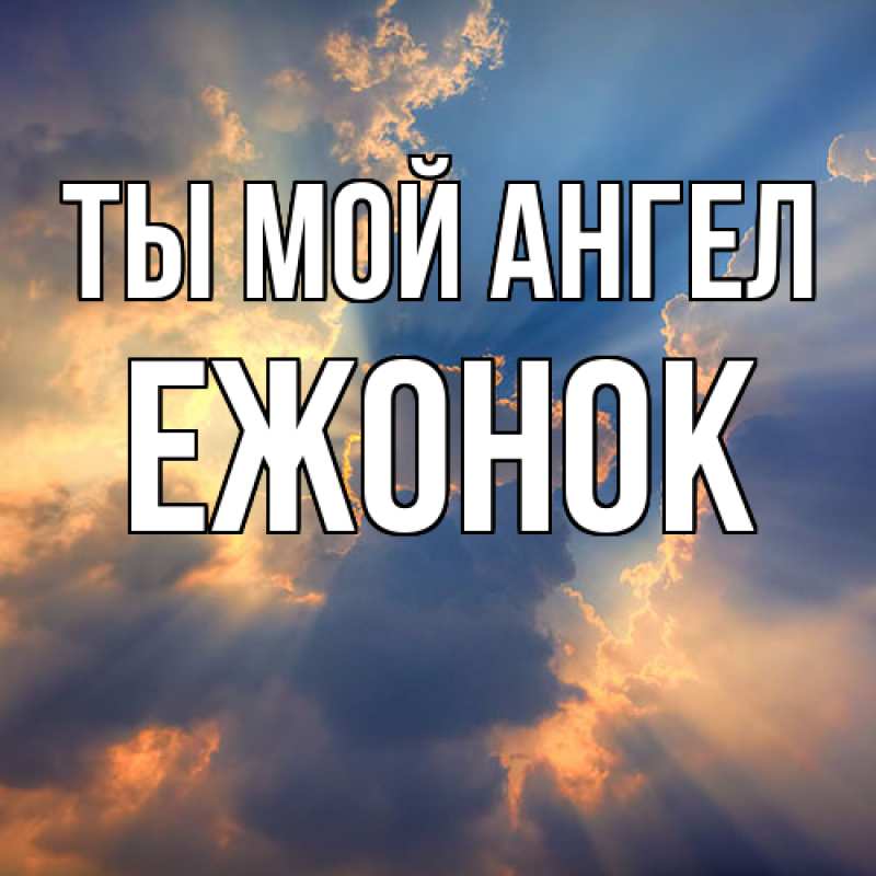 Картинка Ты мой ангел, Ежонок