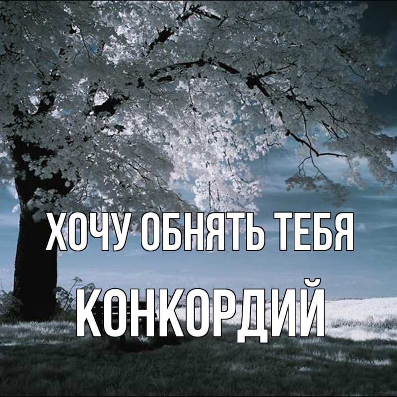 Картинка Хочу обнять тебя, Конкордий