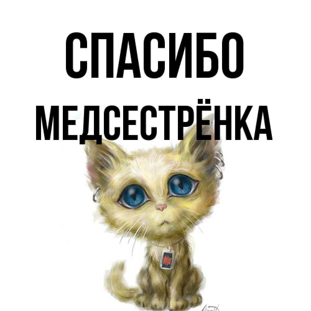 Открытка на каждый день с именем, Медсестрёнка Спасибо рисованный кот благодарит вас Прикольная открытка с пожеланием онлайн скачать бесплатно 