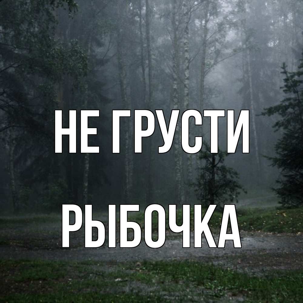 Открытка на каждый день с именем, рыбочка Не грусти осень Прикольная открытка с пожеланием онлайн скачать бесплатно 