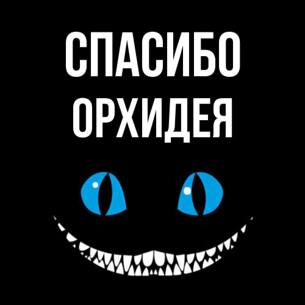 Открытка на каждый день с именем, Орхидея Спасибо благодарю от чеширика Прикольная открытка с пожеланием онлайн скачать бесплатно 