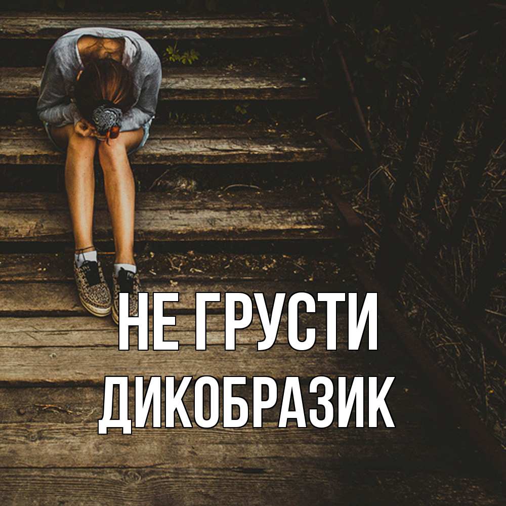 Открытка на каждый день с именем, дикобразик Не грусти девушка сидит на деревянных ступеньках Прикольная открытка с пожеланием онлайн скачать бесплатно 