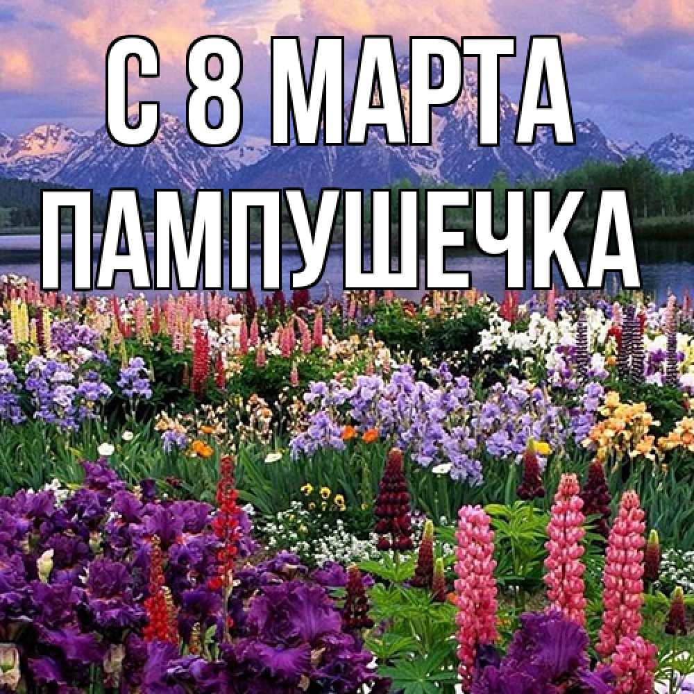 Открытка на каждый день с именем, пампушечка C 8 МАРТА международный женский день Прикольная открытка с пожеланием онлайн скачать бесплатно 