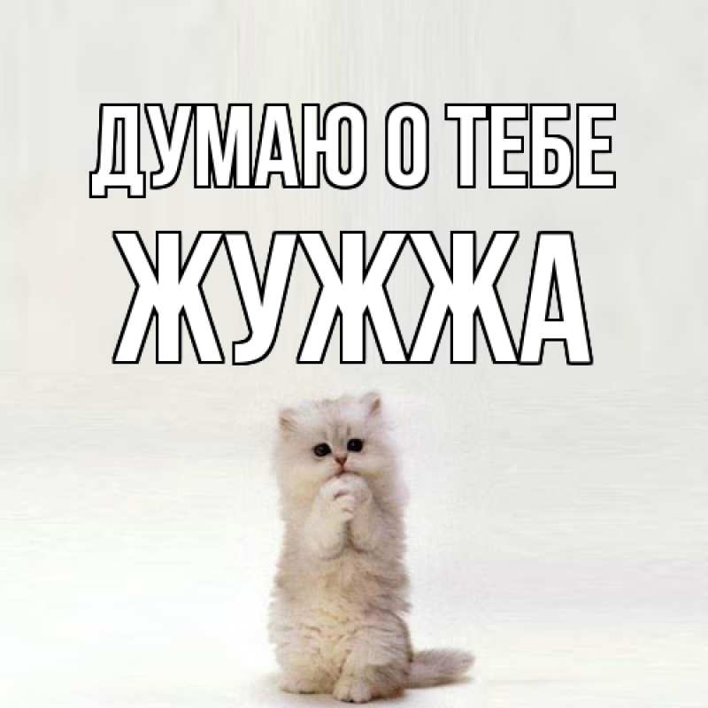 Картинка Думаю о тебе, Жужжа