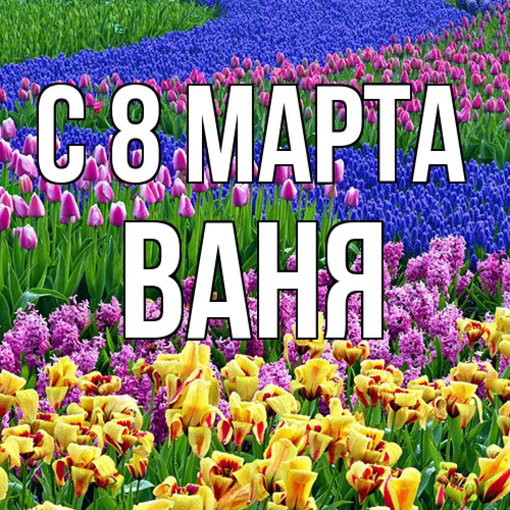 Открытка на каждый день с именем, Ваня C 8 МАРТА цветы Прикольная открытка с пожеланием онлайн скачать бесплатно 