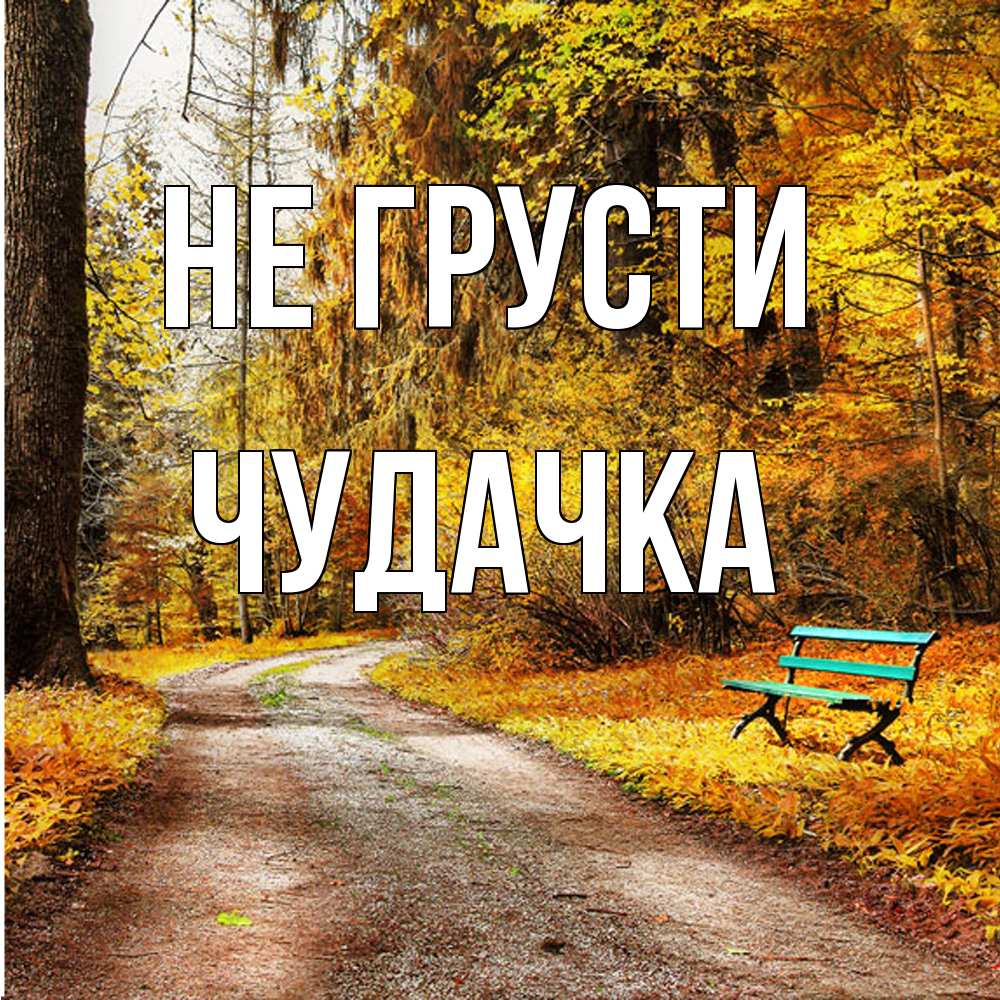 Открытка на каждый день с именем, Чудачка Не грусти зеленая лавочка Прикольная открытка с пожеланием онлайн скачать бесплатно 