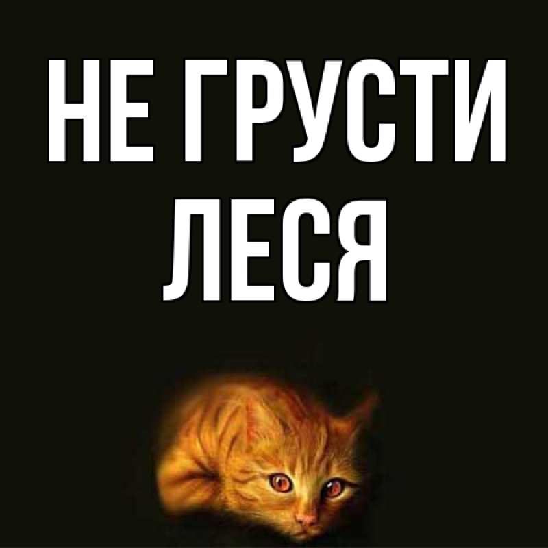 Картинка Не грусти, Леся