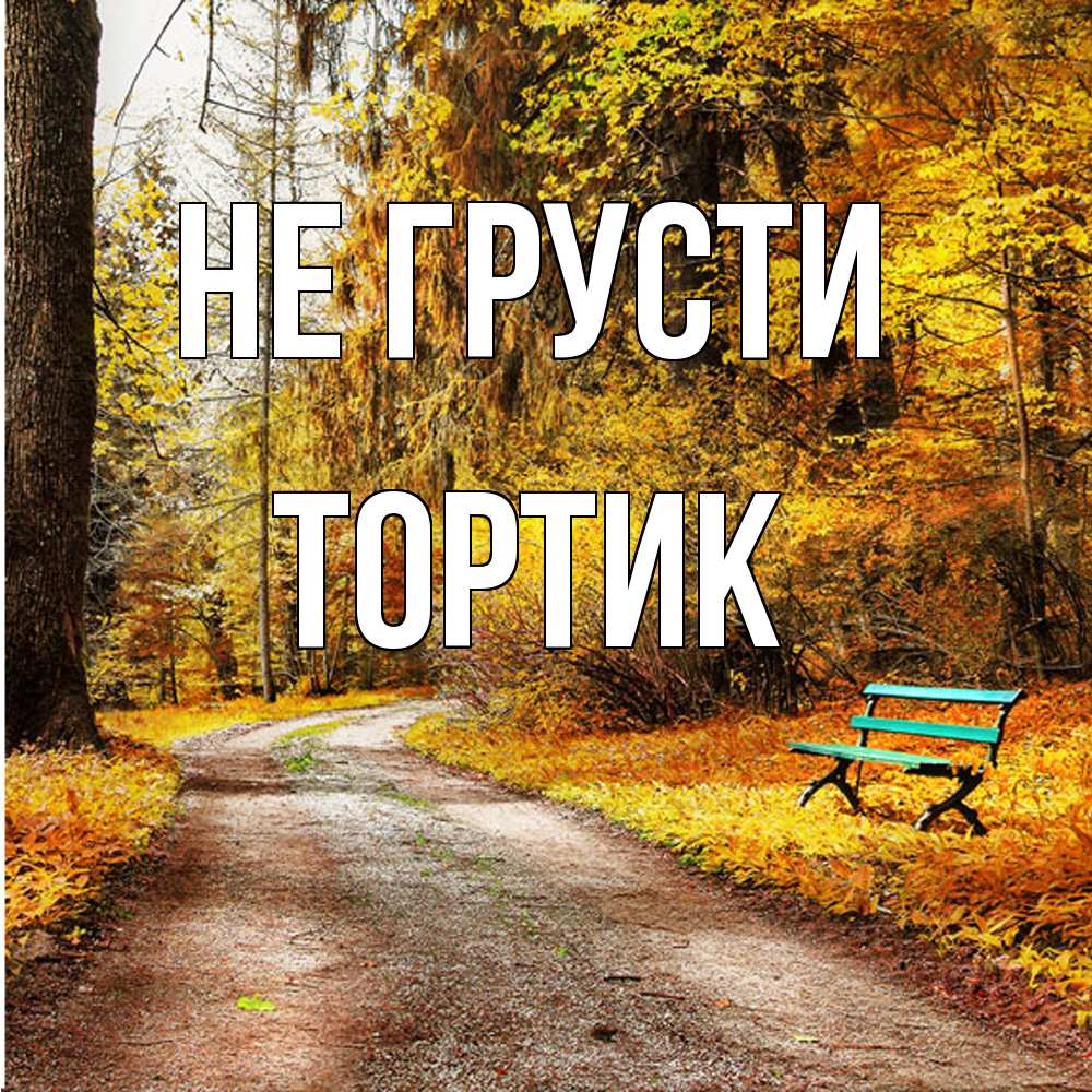 Открытка на каждый день с именем, Тортик Не грусти зеленая лавочка Прикольная открытка с пожеланием онлайн скачать бесплатно 