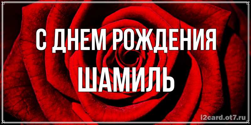 Картинка С днем рождения, Шамиль