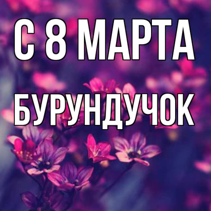 Картинка C 8 МАРТА, бурундучок