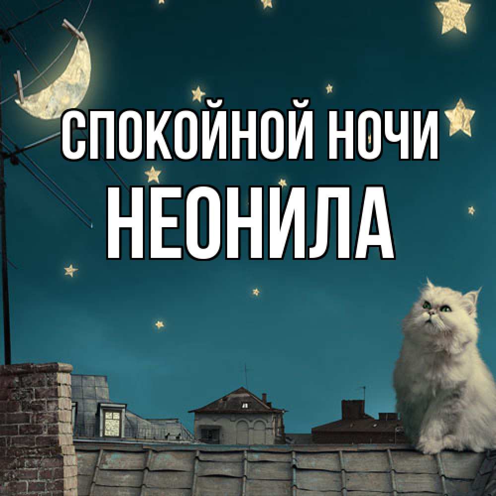 Открытка на каждый день с именем, Неонила Спокойной ночи белый кот сидит на крыше Прикольная открытка с пожеланием онлайн скачать бесплатно 