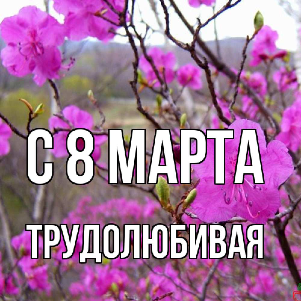 Открытка на каждый день с именем, Трудолюбивая C 8 МАРТА международный женский день Прикольная открытка с пожеланием онлайн скачать бесплатно 