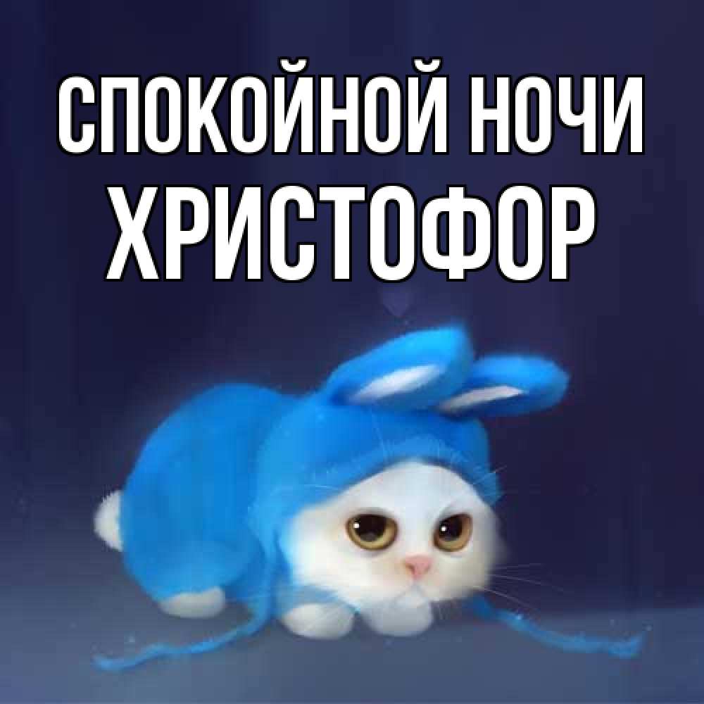 Открытка на каждый день с именем, Христофор Спокойной ночи кот в голубом костюме кролика с ушками Прикольная открытка с пожеланием онлайн скачать бесплатно 