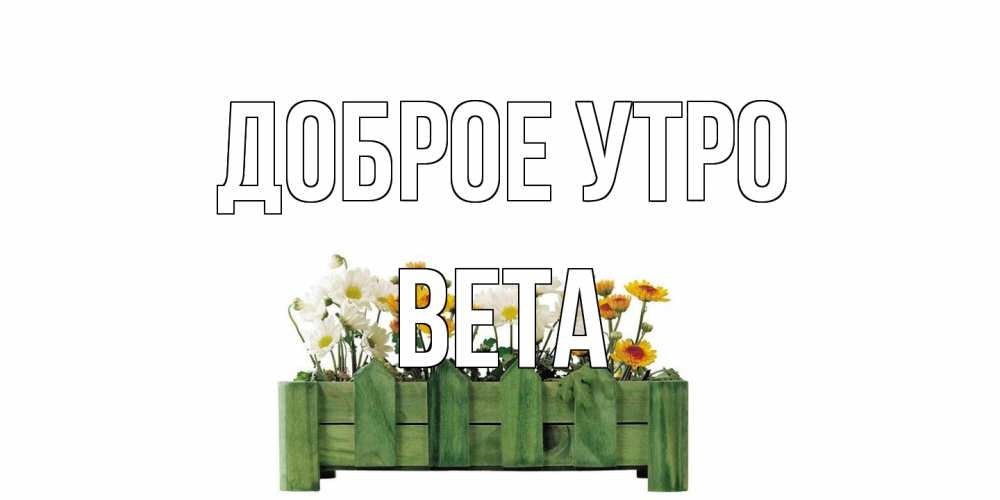Открытка на каждый день с именем, Вета Доброе утро цветы Прикольная открытка с пожеланием онлайн скачать бесплатно 
