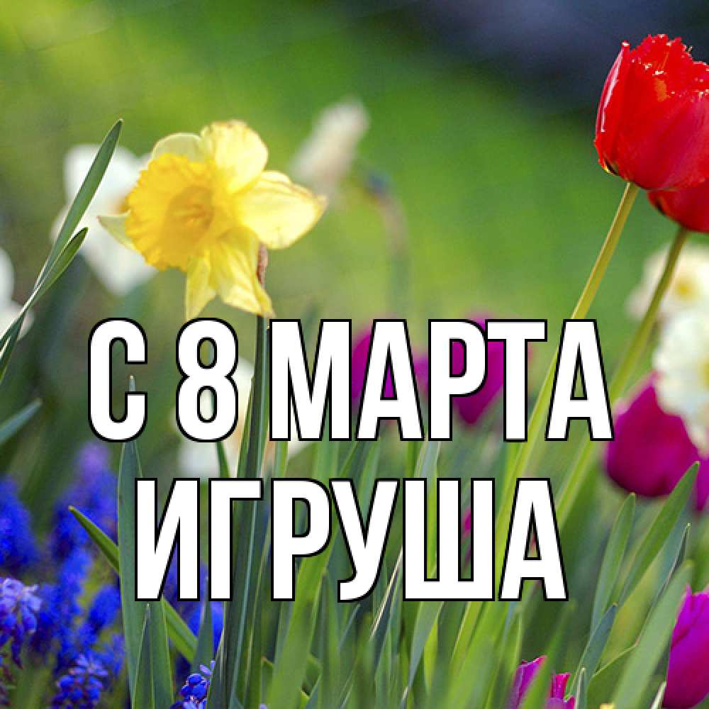 Открытка на каждый день с именем, Игруша C 8 МАРТА международный женский день 3 Прикольная открытка с пожеланием онлайн скачать бесплатно 