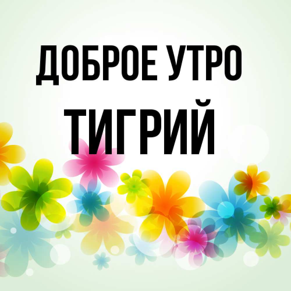 Открытка на каждый день с именем, Тигрий Доброе утро позитивные цветочки Прикольная открытка с пожеланием онлайн скачать бесплатно 
